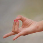 apan-mudra