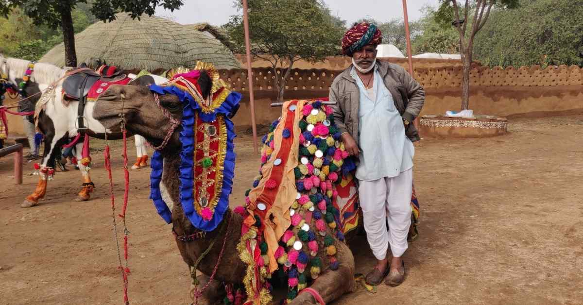 camel safari