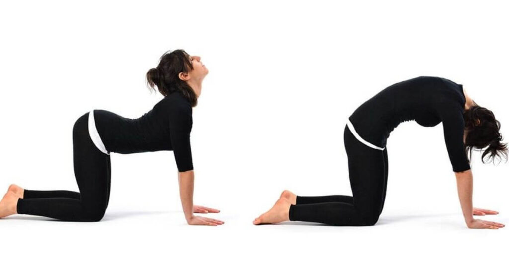 cat cow pose