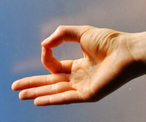 chin mudra