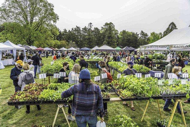 FOB_Events_HerbsGalore_Maymont_COURTESY_hp0324.jpg