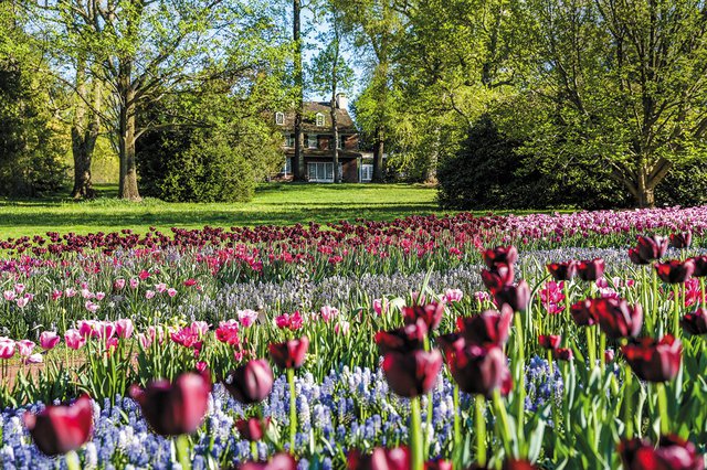 Living_Travel_LongwoodGardens_BECCAMATHIAS_rp0424_.jpg