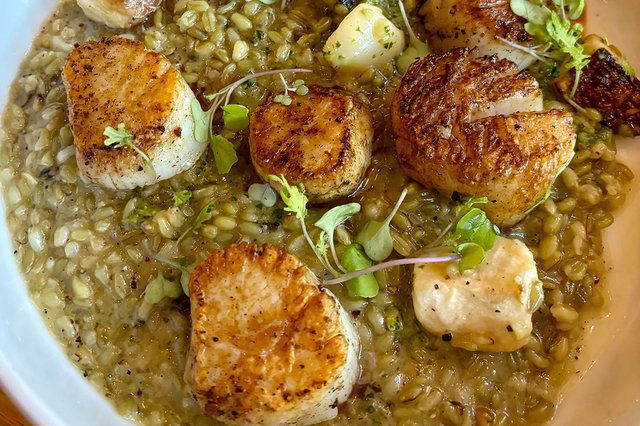 scallops_eileen-mellon_teaser.jpg