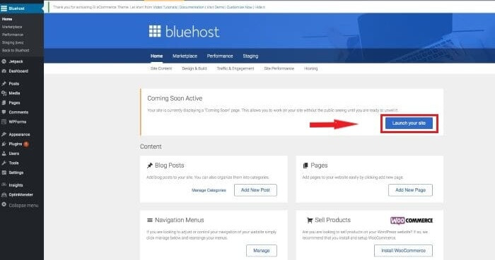 WordPress-launch