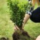 World Environment Day