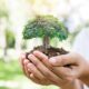 World Environment Day
